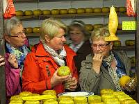 holland_02.JPG