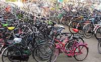 holland_18.JPG