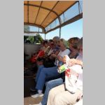 0020_Buckelbus.jpg